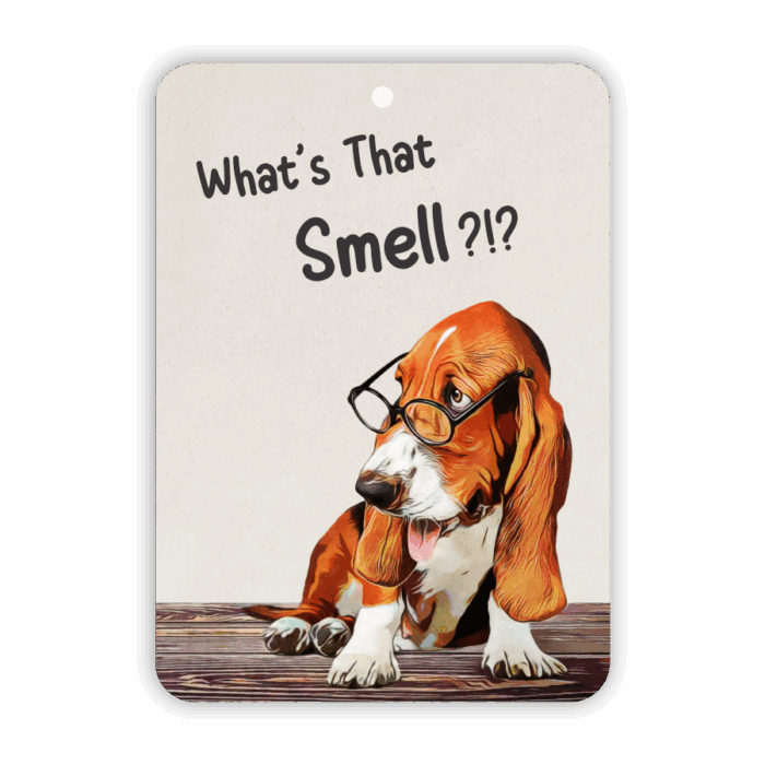 Air Freshener