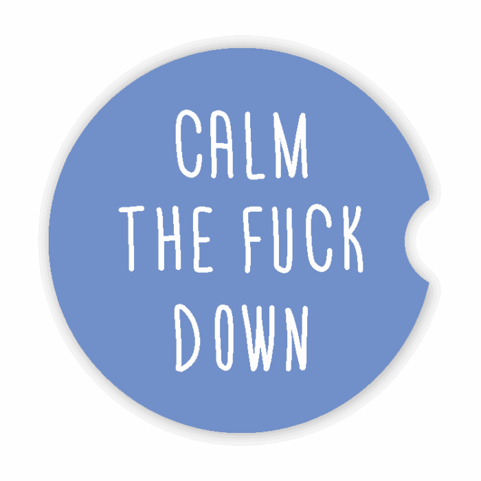 Coaster Car Absorbent