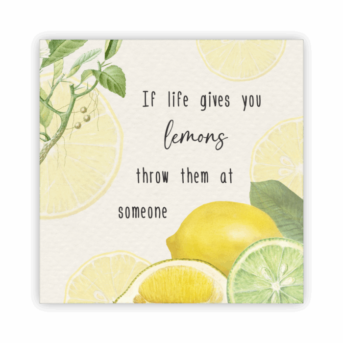 Coaster Home Absorbent