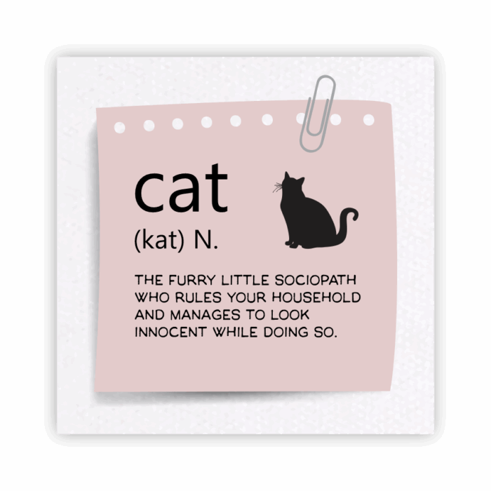 Coaster Home Absorbent