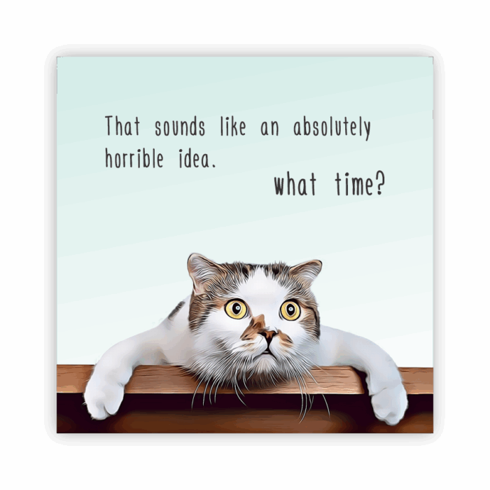 Coaster Home Absorbent