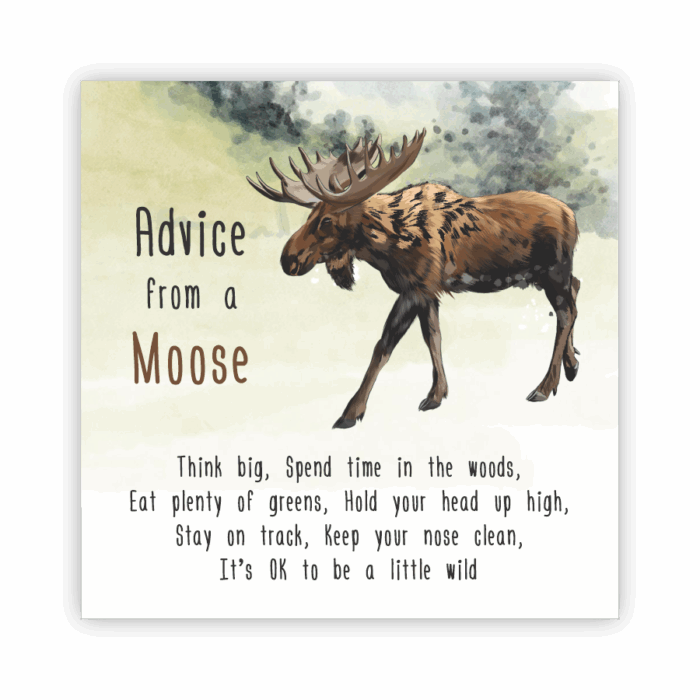 Coaster Home Absorbent