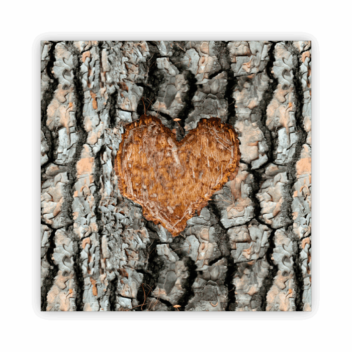 Coaster Home Absorbent