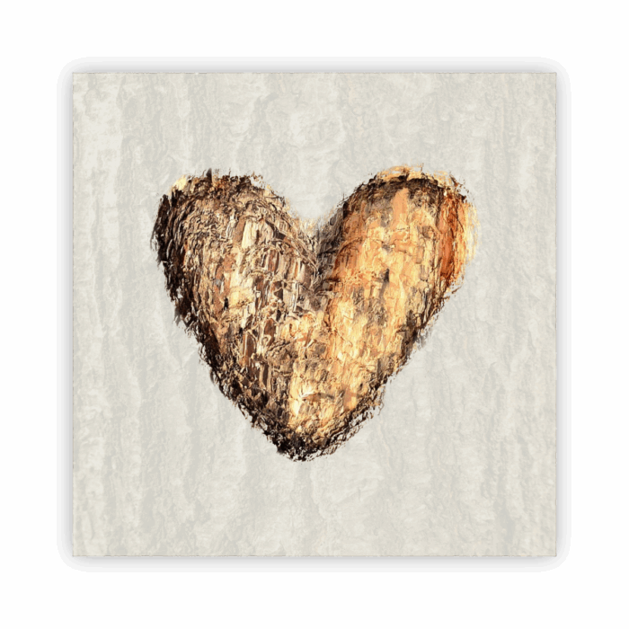 Coaster Home Absorbent