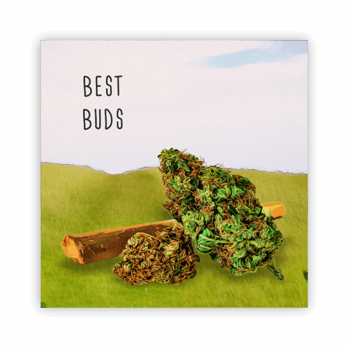Coaster Home Absorbent