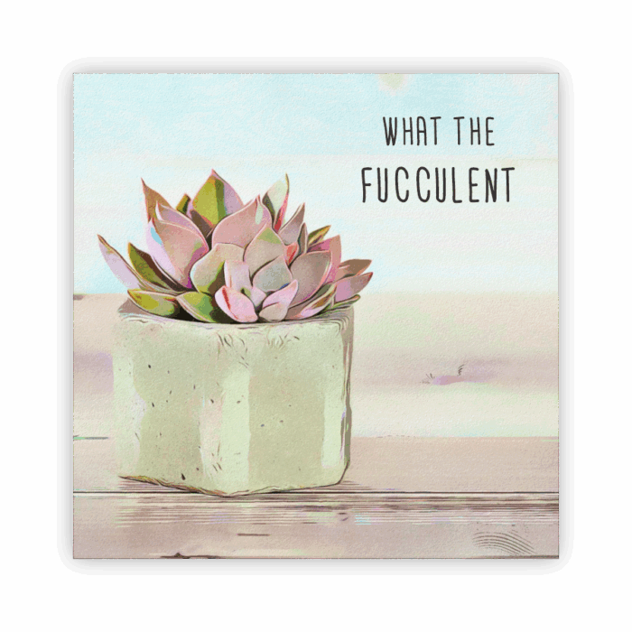 Coaster Home Absorbent