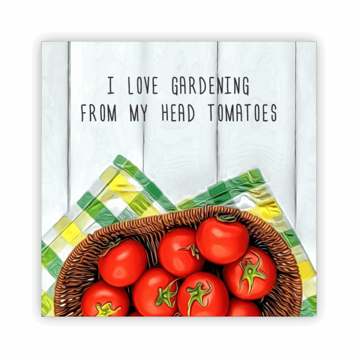 Coaster Home Absorbent