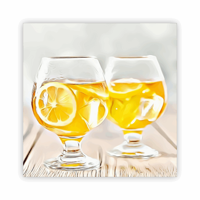 Coaster Home Absorbent
