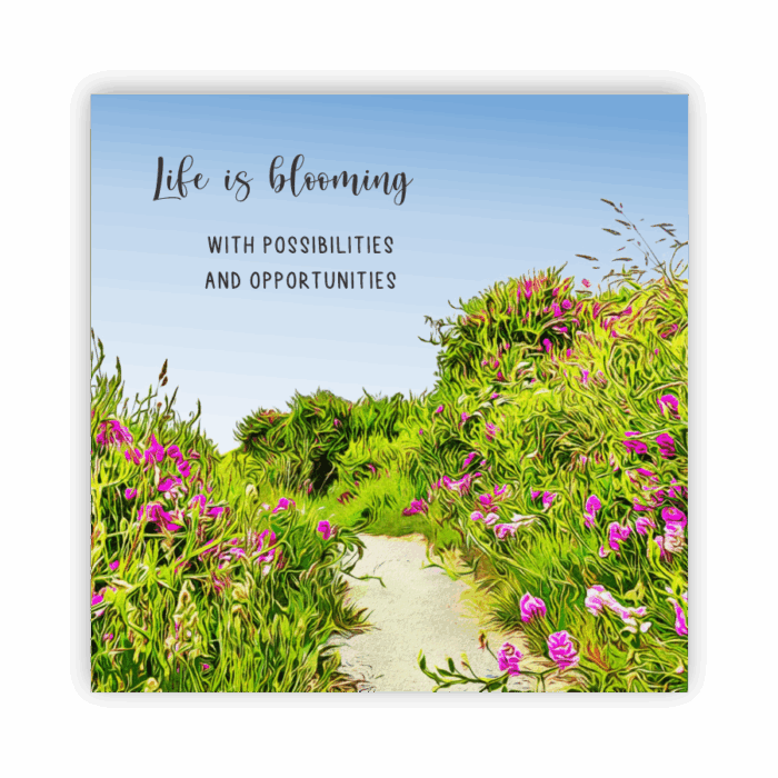 Coaster Home Absorbent