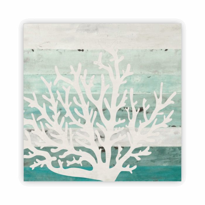 Coaster Home Absorbent
