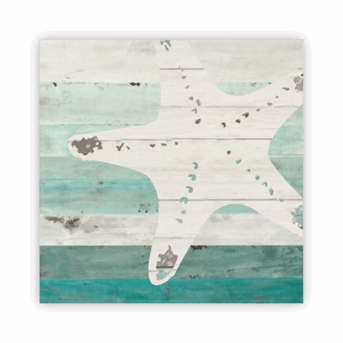 Coaster Home Absorbent