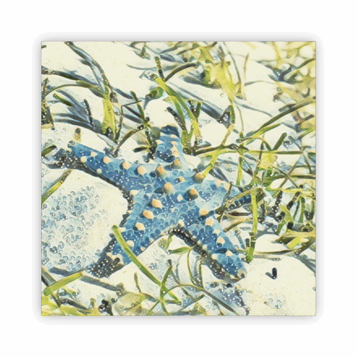 Coaster Home Absorbent