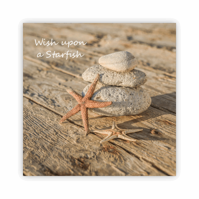Coaster Home Absorbent