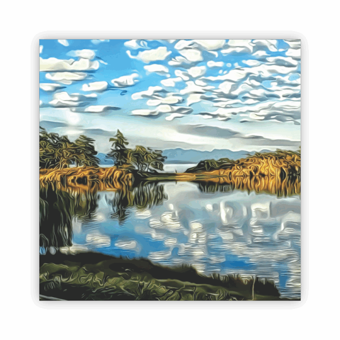 Coaster Home Absorbent