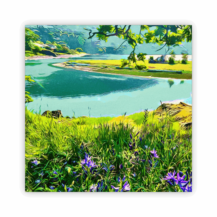 Coaster Home Absorbent