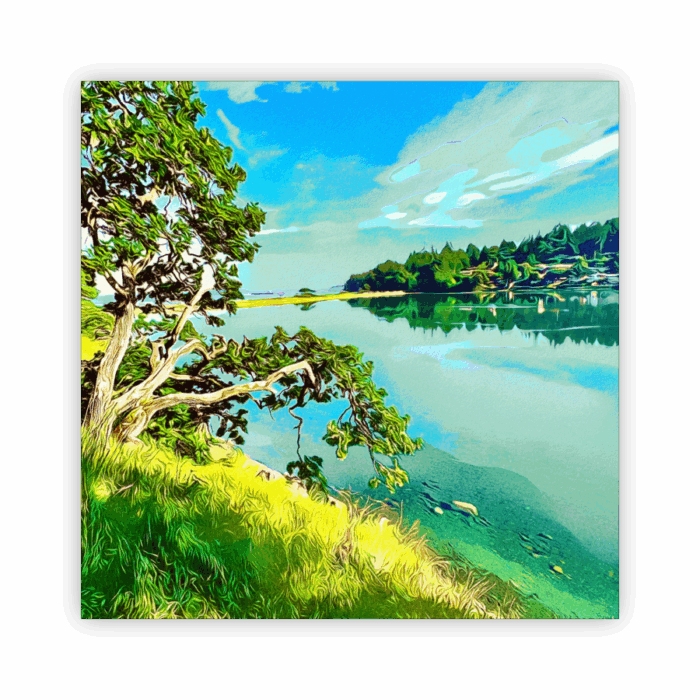 Coaster Home Absorbent