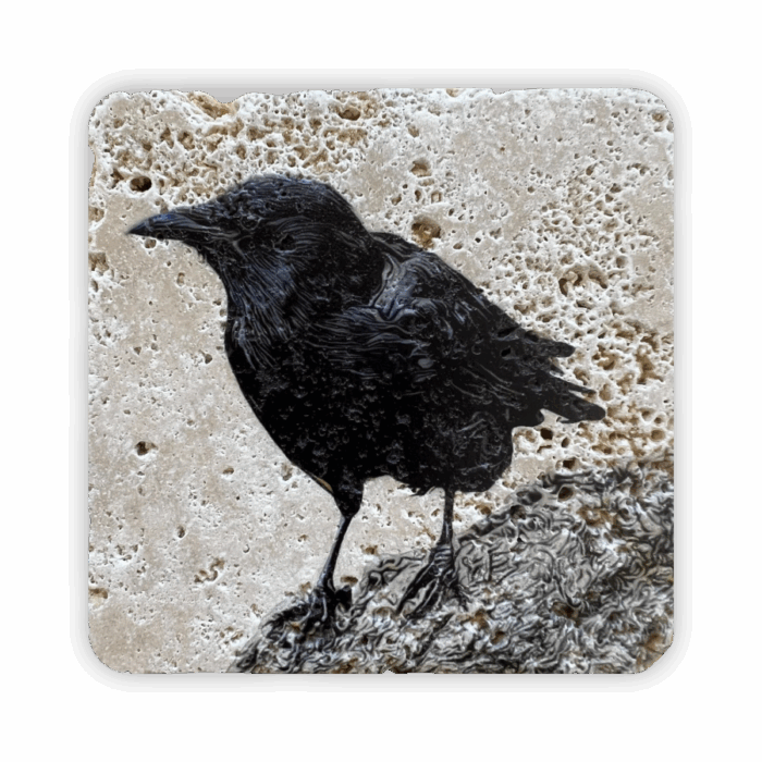 Coaster Marble