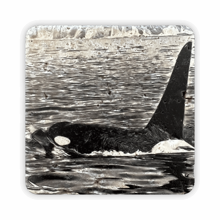 Coaster Marble