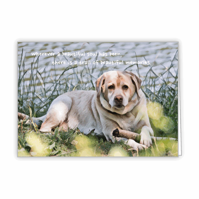 Greeting Card