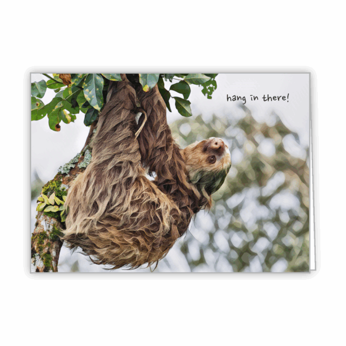 Greeting Card