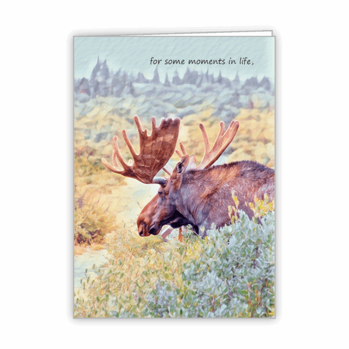 Greeting Card