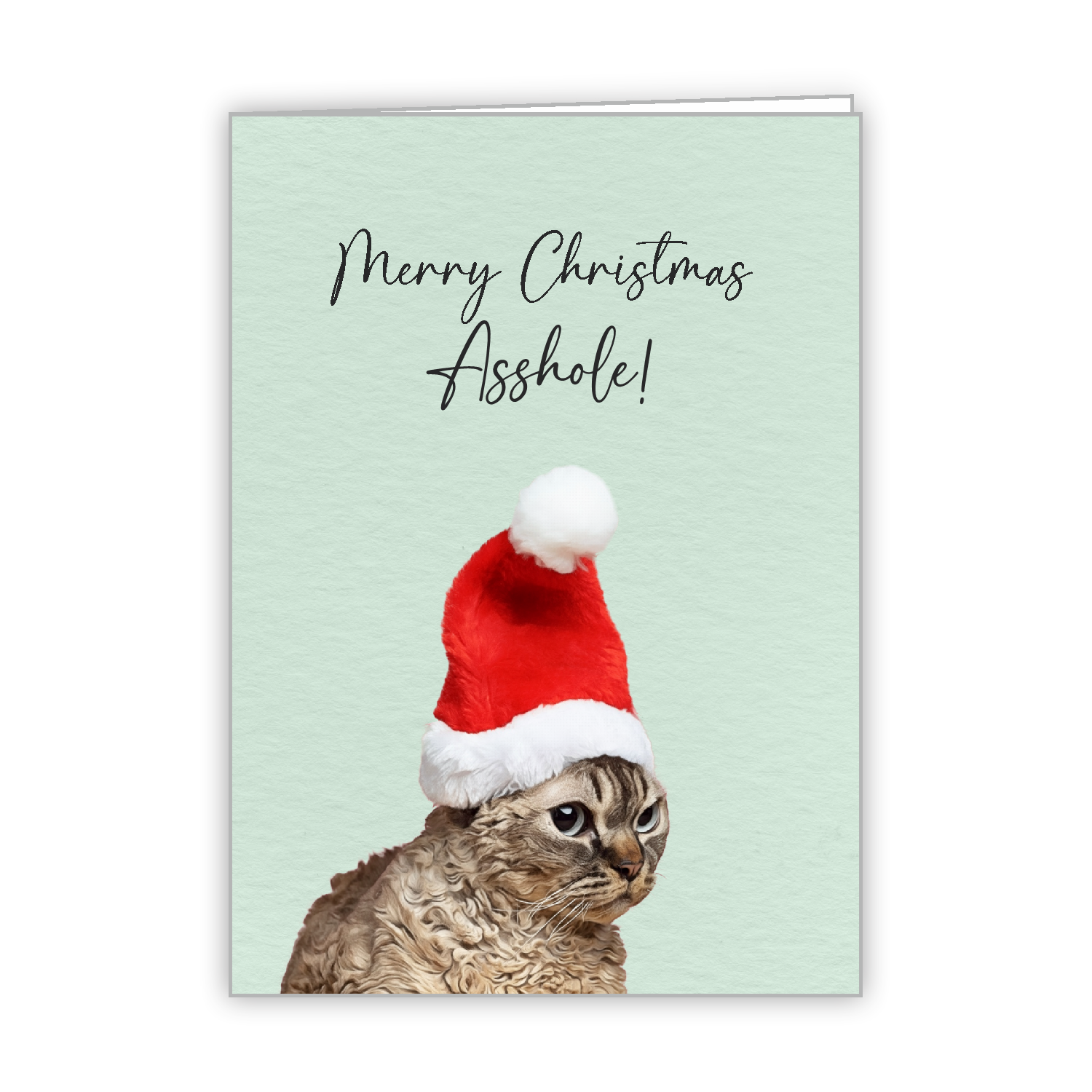 Christmas Greeting Card