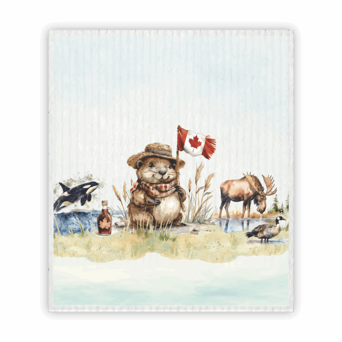 Swedish Dishcloth