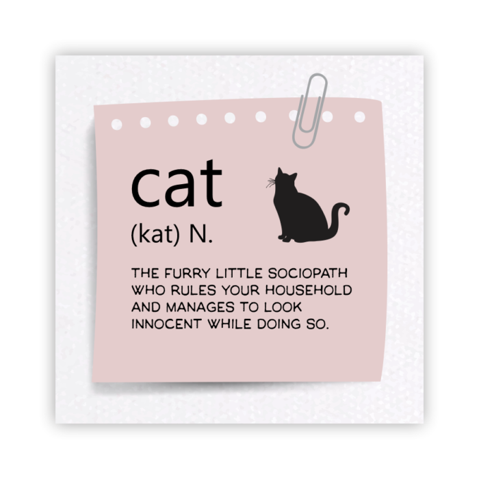 Coaster Home Absorbent