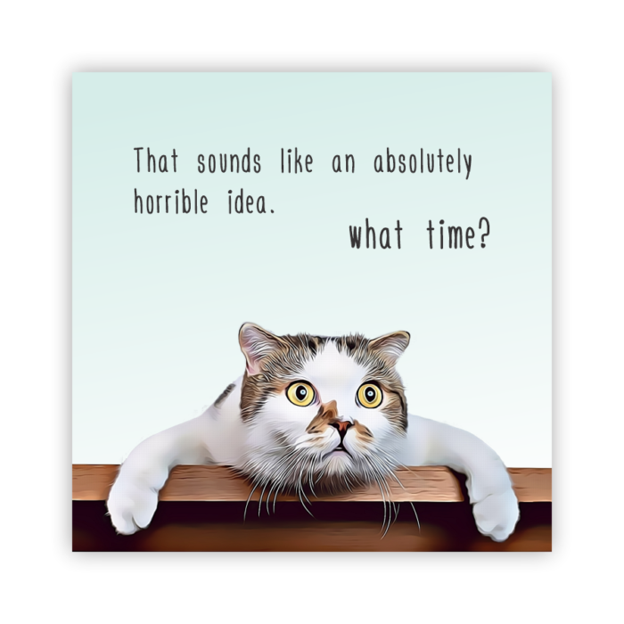 Coaster Home Absorbent