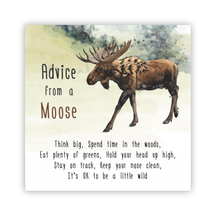 Coaster Home Absorbent