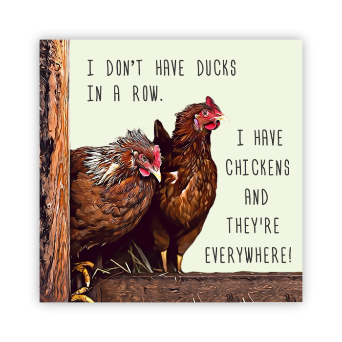 Coaster Home Absorbent