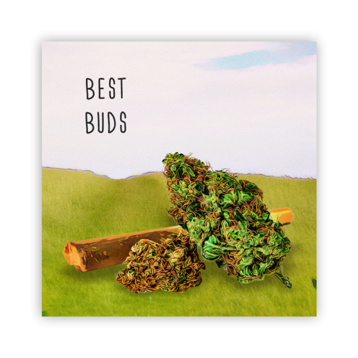 Coaster Home Absorbent