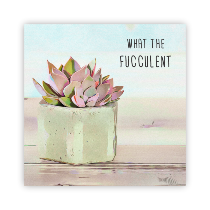 Coaster Home Absorbent