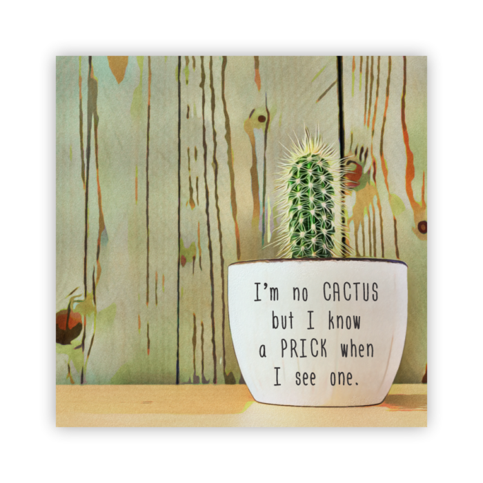 Coaster Home Absorbent