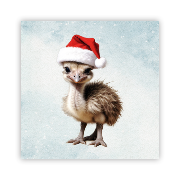 Christmas Coaster Absorbent