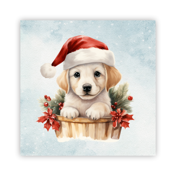 Christmas Coaster Absorbent