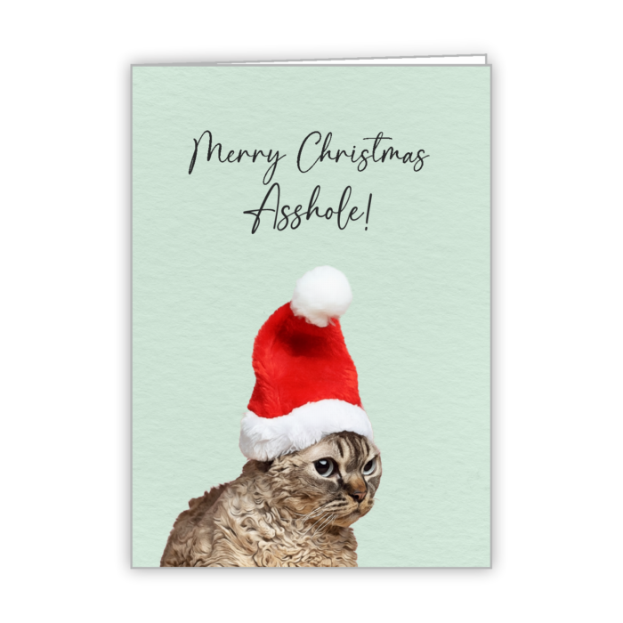 Christmas Greeting Card
